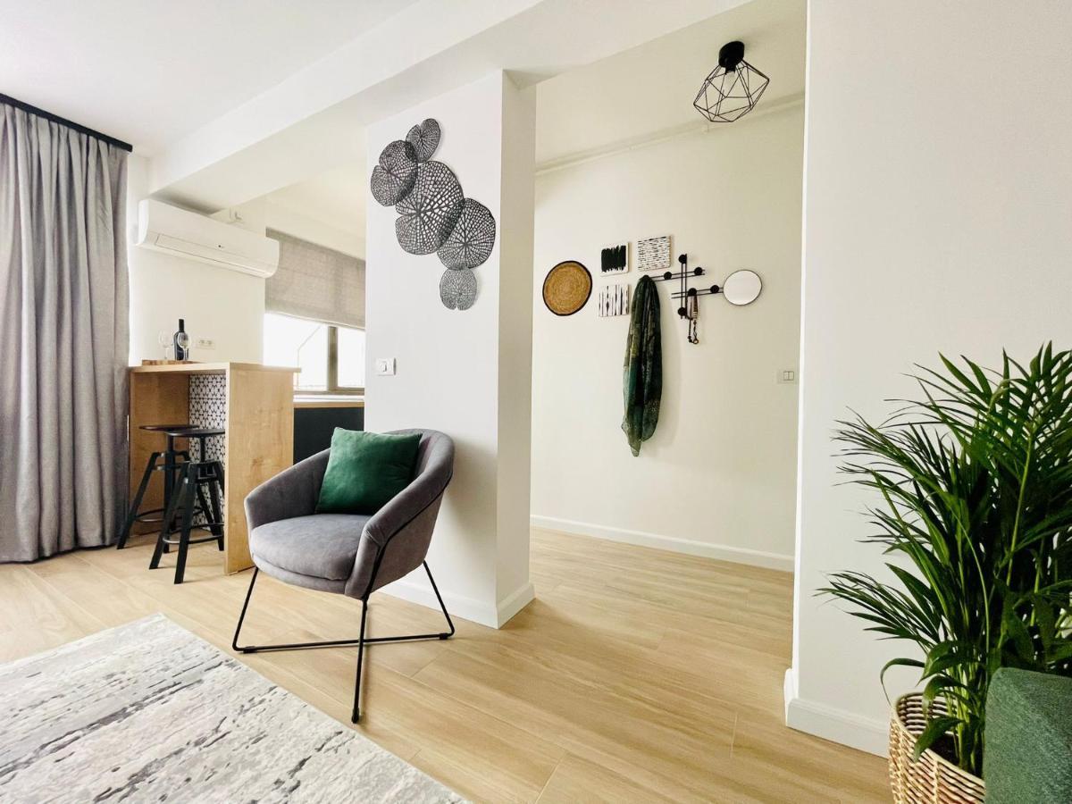 City Center View Studio Apartment 1 Тимишоара Экстерьер фото